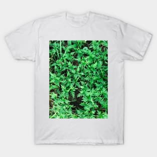 Grass (Yellow cosmos) texture background (greener) T-Shirt